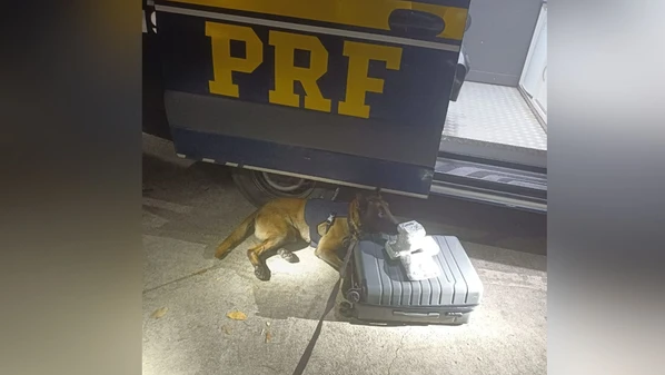 Durante fiscalização em um ônibus interestadual, a Polícia Rodoviária Federal (PRF) apreendeu duas malas contendo drogas