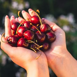 A fruta oferece nutrientes importantes que contribuem para o bem-estar e ajudam na proteção contra doenças
