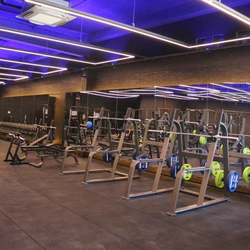 Em 2025, o faturamento da Wellness deve ficar em R$ 80 milhões. Em 2026, deve chegar aos R$ 130 milhões. Hoje, são 500 funcionários diretos, no final do ano que vem chega aos 1 mil