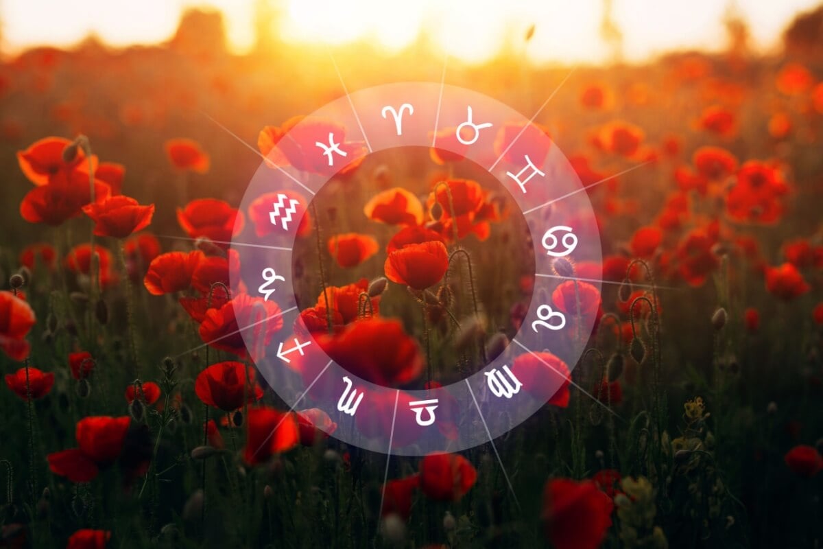 Cada signo sentirá o equinócio da primavera de forma única (Imagem: Miha Creative | Shutterstock)