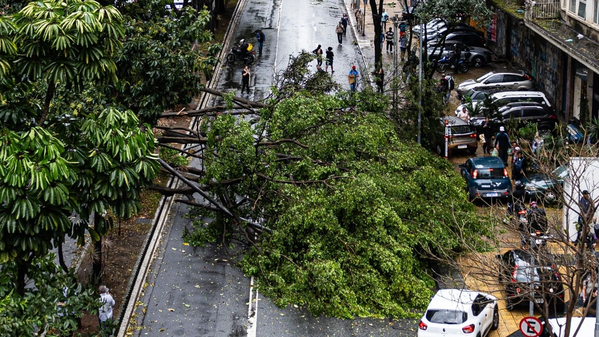 Estragos causados pela forte chuva em São Paulo na segunda-feira (22)