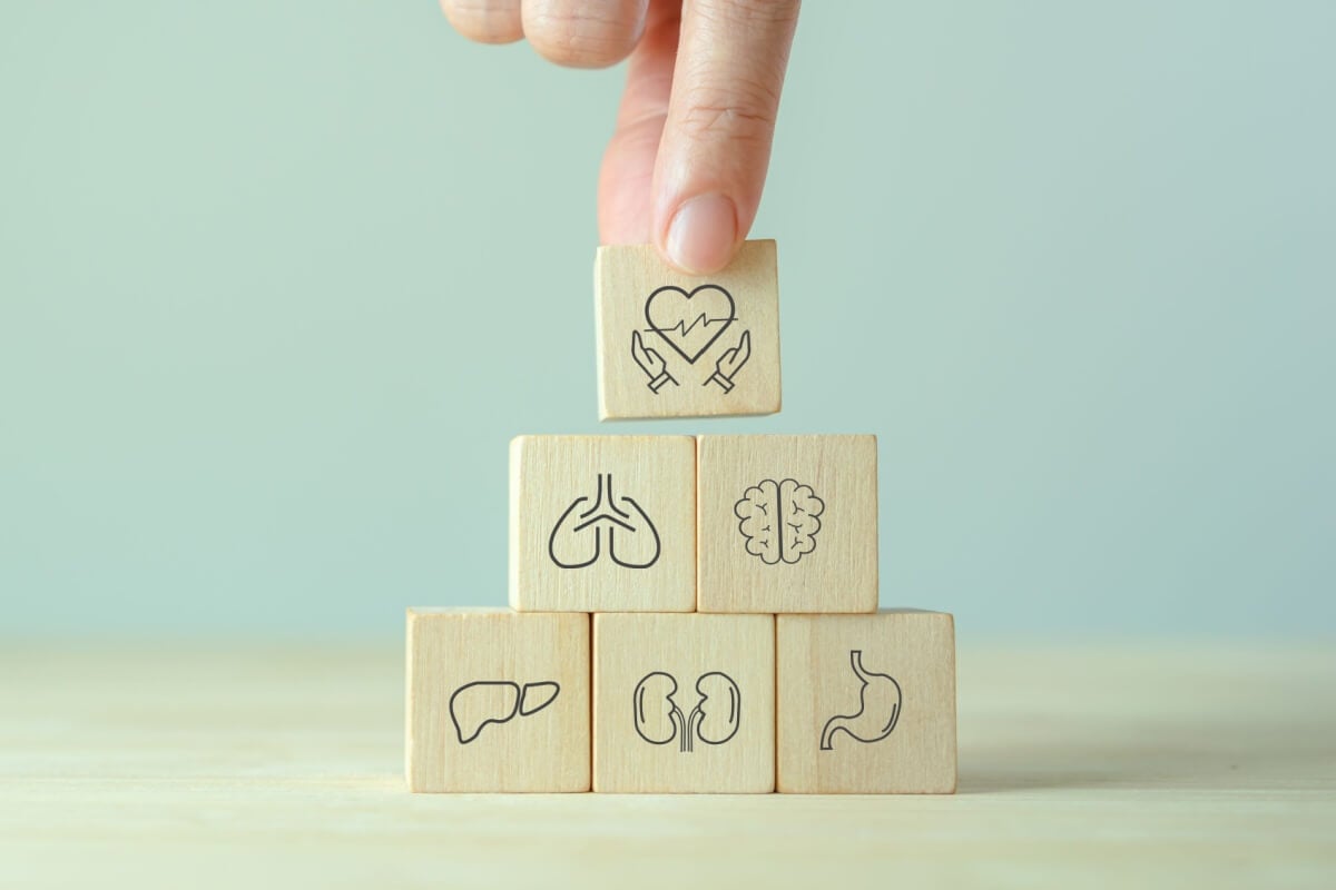 Mitos sobre a doação de órgãos dificultam esse ato de generosidade (Imagem: 3rdtimeluckystudio | Shutterstock)