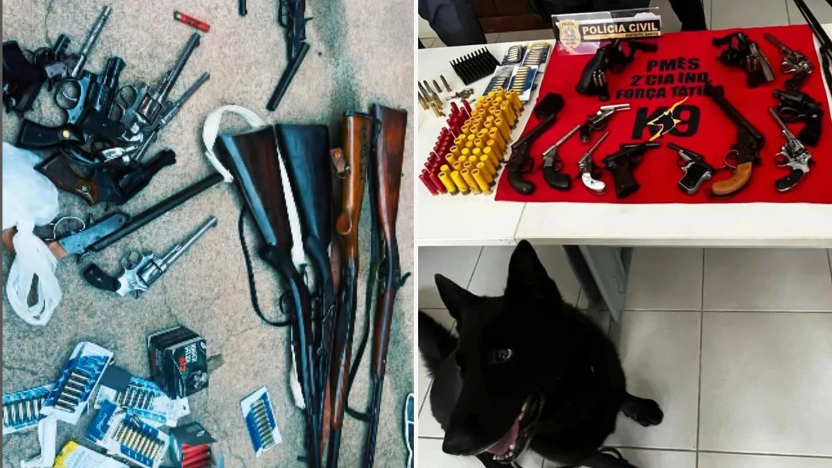 Operação termina com 2 detidos e 16 armas apreendidas em Afonso Cláudio