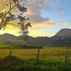 Em Afonso Cláudio, a Capital Estadual do Queijo, empreendedores têm conquistado espaço proporcionando aos visitantes experiências gastronômicas variadas