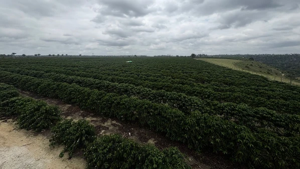 No Brasil, de acordo com o Banco Central, foram liberados R$ 100,2 bilhões de crédito rural entre julho e setembro, queda de 22% em relação ao mesmo período do ano passado