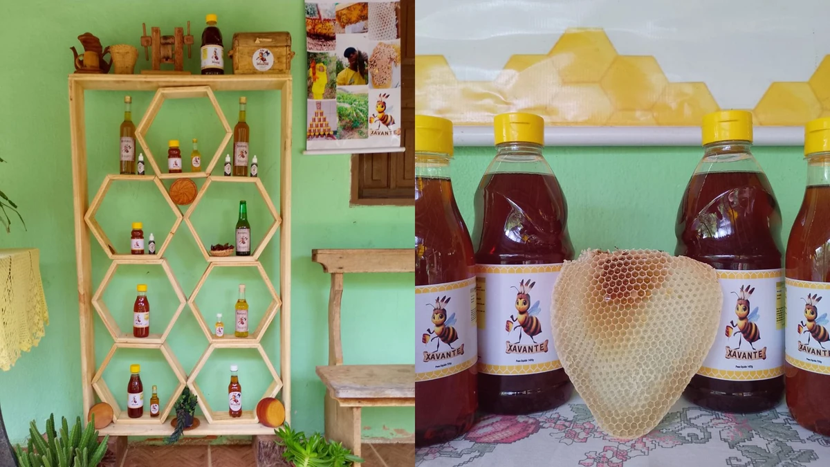 Apiário Xavante produz diversos tipos de mel e hidromel 