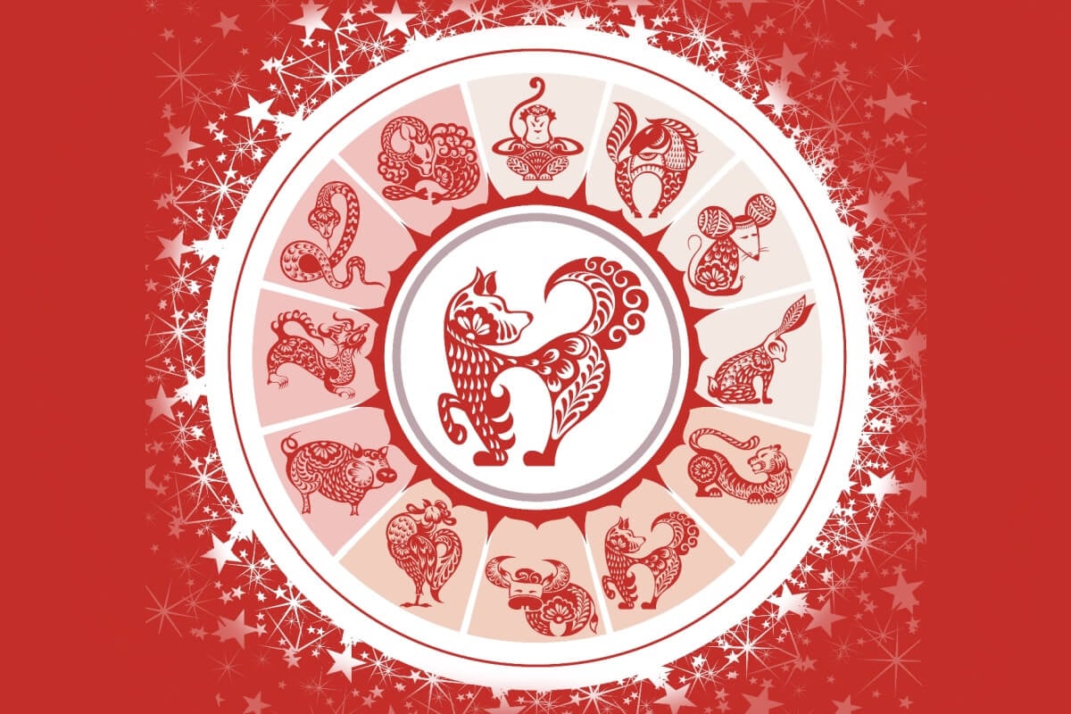 Outubro traz a influência do Cachorro, um signo criativo, leal e pacífico (Imagem: sunlight77 | Shutterstock)