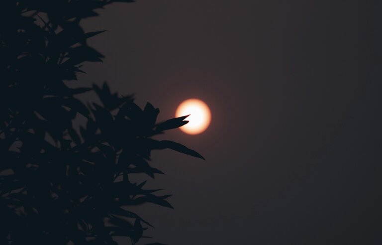 Ressaca pós-eclipse: por que estamos tão cansados e como se cuidar