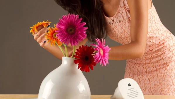 A Furf é um estúdio de design que tem projetos assinados em colaboração com marcas nacionais e internacionais e já ultrapassa a marca de 5 milhões de produtos vendidos