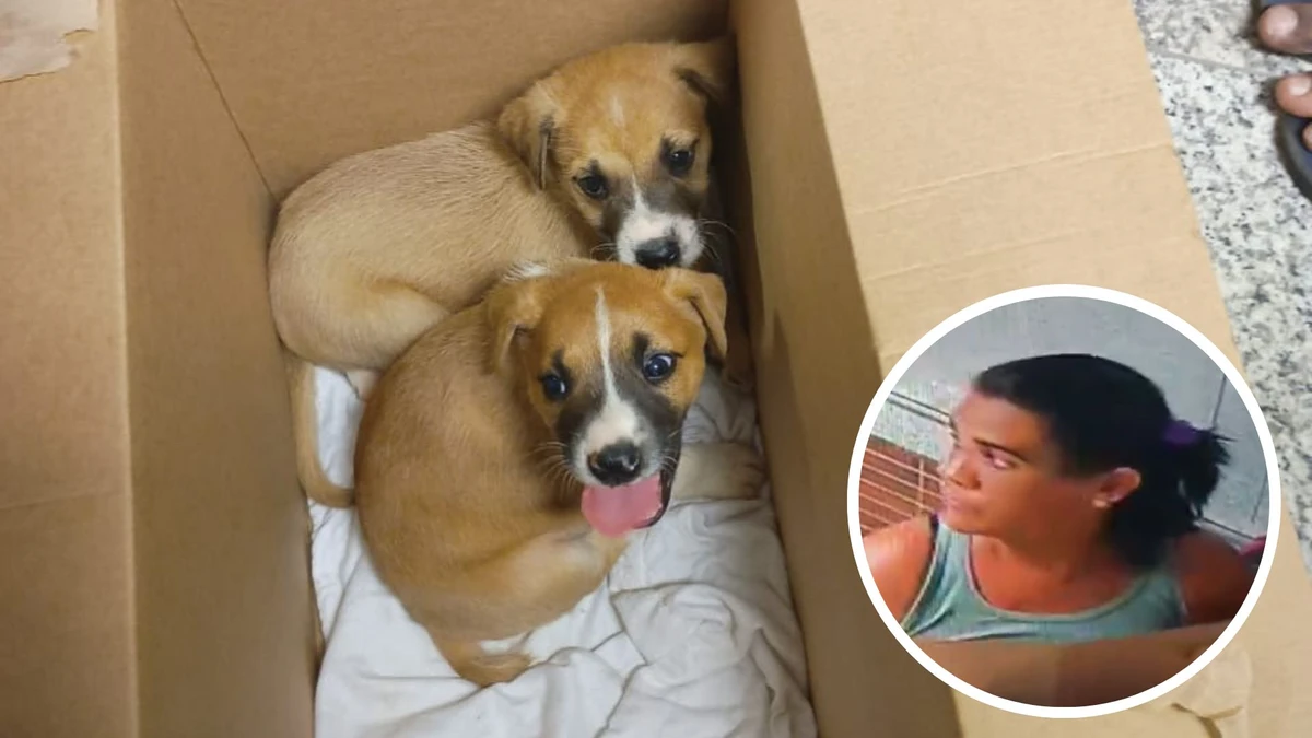 Polícia pede ajuda para identificar mulher que abandonou cães em Cariacica