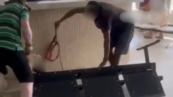 Ataque aconteceu quando animal, que estava sem focinheira, se soltou da coleira e foi para cima de um cão de pequeno porte, na última quarta-feira (1°)