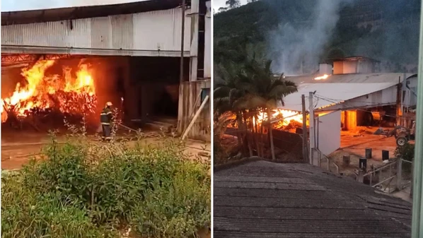Fogo começou em pequena porção de palha de café e se alastrou rapidamente para uma pilha de quatro metros de altura de eucalipto