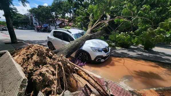 Segundo a prefeitura, a queda teria sido provocada por um vazamento prolongado de água de uma tubulação que seria da Cesan