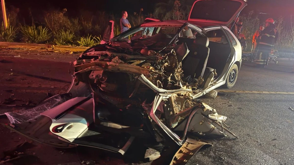 Animais causam acidentes na ES 080 e deixa 5 feridos