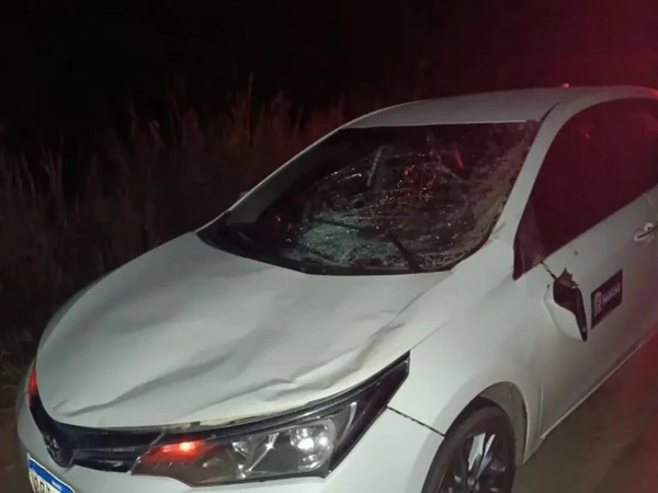 Carro da Prefeitura de Pancas envolvido em acidente com cavalo na ES 080 em Colatina