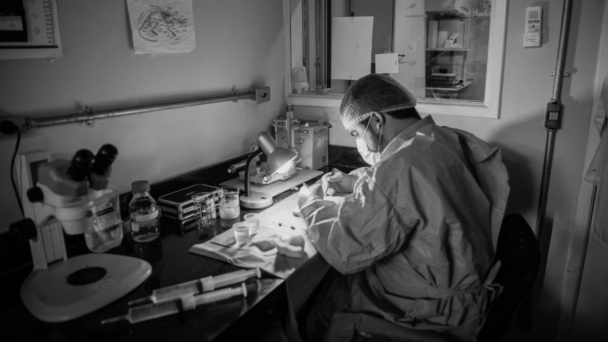 Olavo Borges Franco, médico capixaba que integra pesquisa sobre polilaminina