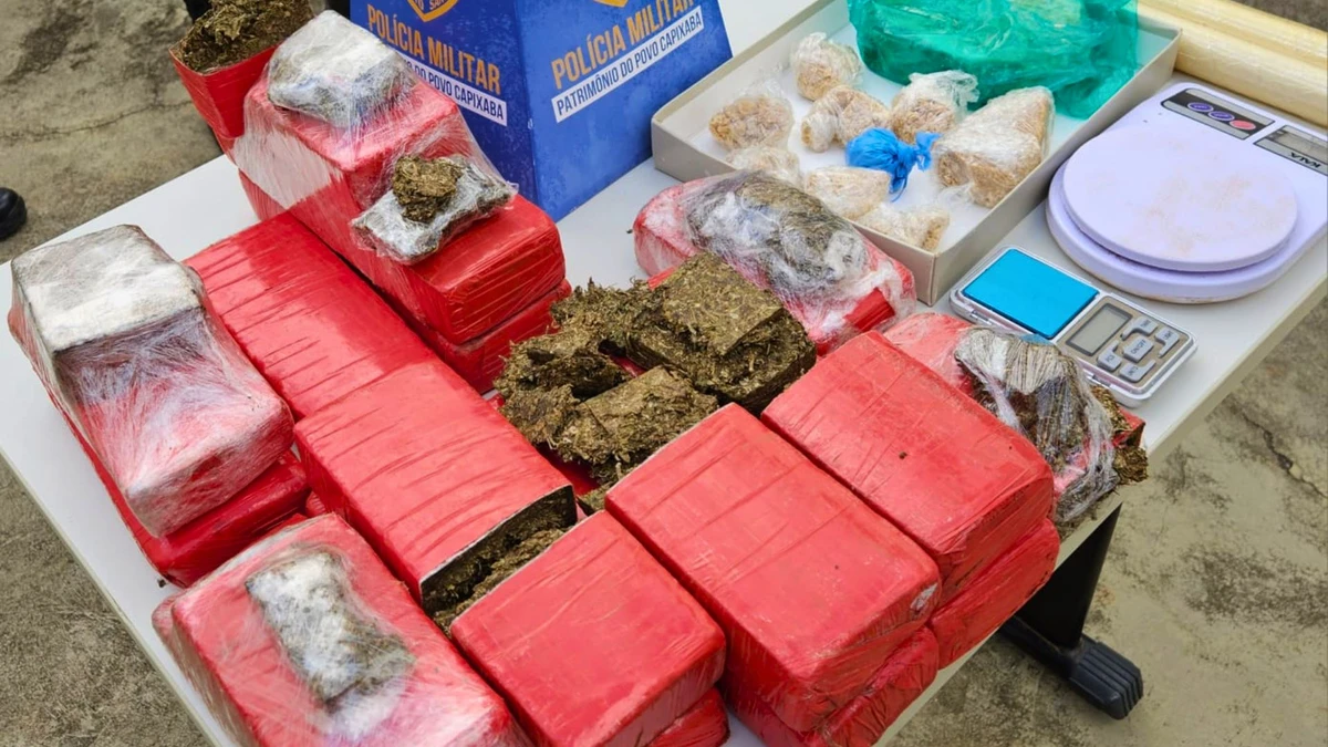 Drogas apreendidas em Barra de São Francisco