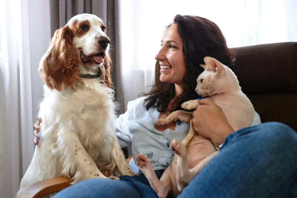 Os primeiros encontros entre o gato e o cachorro devem ser supervisionados (Imagem: Gerain0812 | Shutterstock)