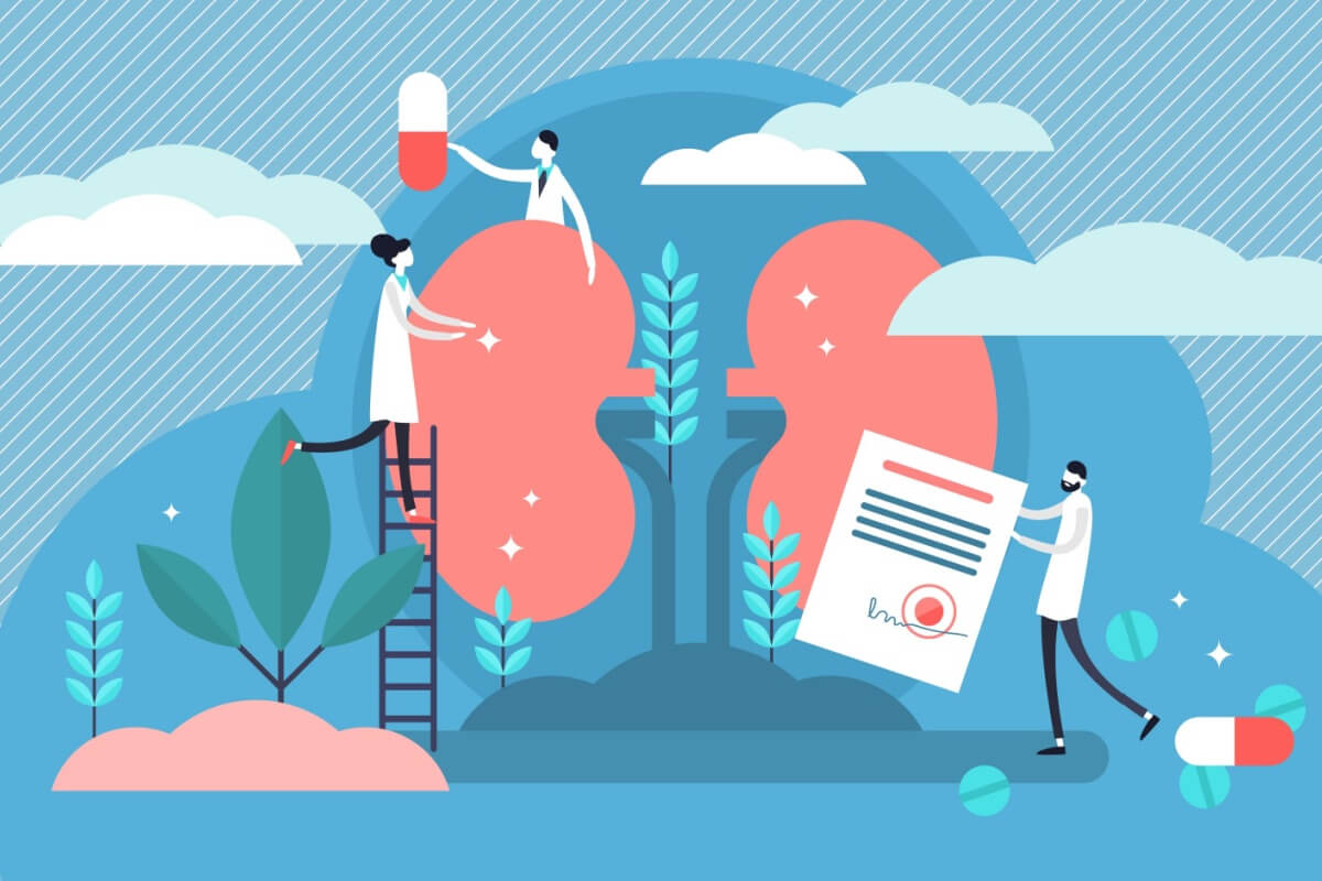 Cuidar da saúde dos rins no dia a dia é fundamental para evitar o câncer renal (Imagem: VectorMine | Shutterstock)