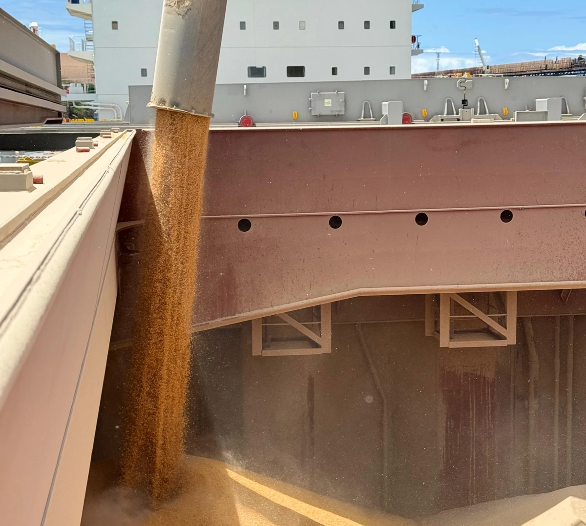Milho sendo alocado no compartimento de carga do navio