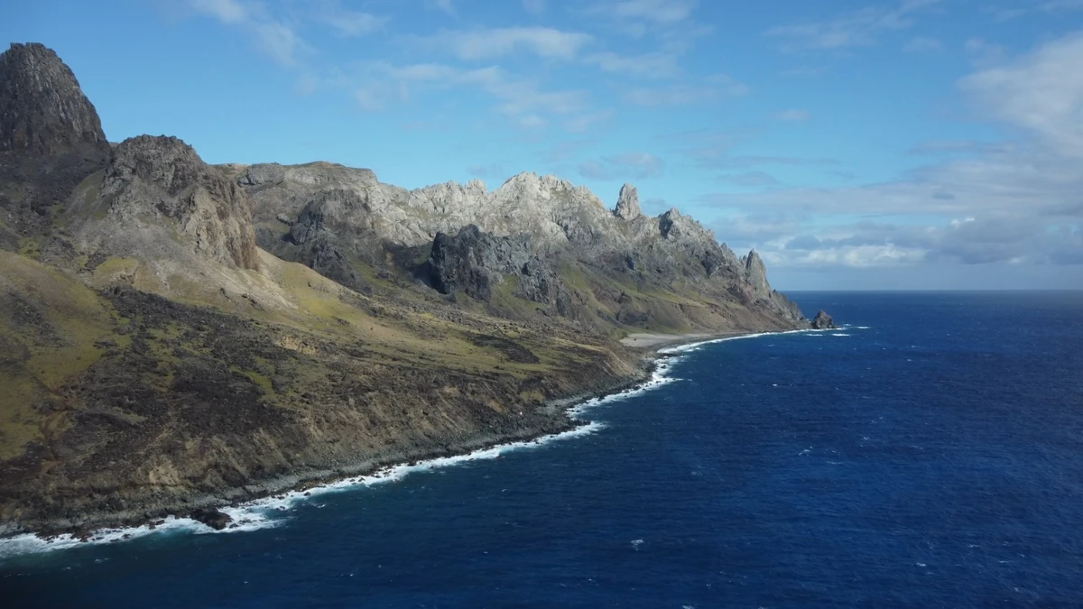 Corais na Praia dos Andradas, na Ilha da Trindade, Espírito Santo por Ramon Porto