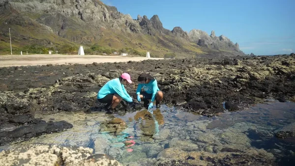 Pesquisadores coletam os corais na Ilha de Trindade (ES) por Ramon Porto/TV Gazeta