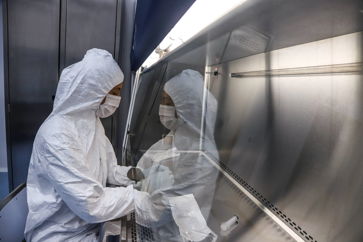 Profissional no núcleo de terapia avançada do Hemocentro de Ribeirão Preto - Folhapress