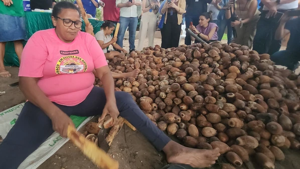 Às vésperas da COP 30 no Brasil, conheça histórias de mulheres que lideram projetos extrativistas que ajudam a melhorar a renda das famílias e também estão focados na sustentabilidade