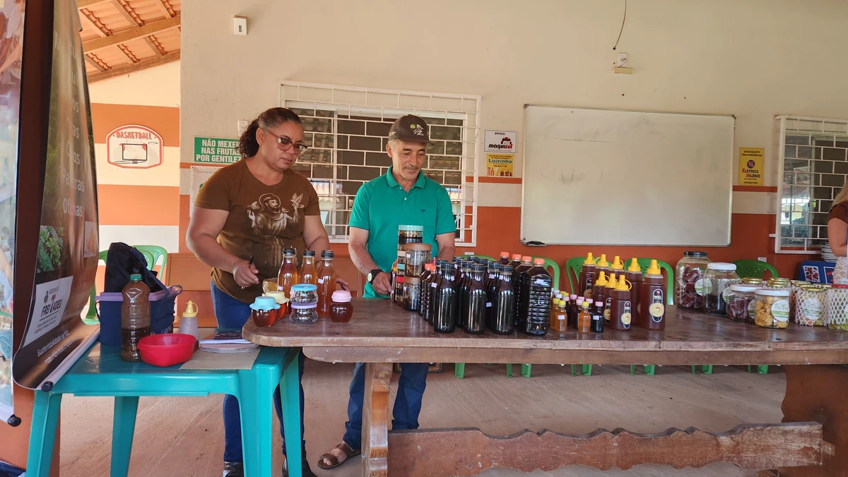 Projeto Sumauma Sustentável