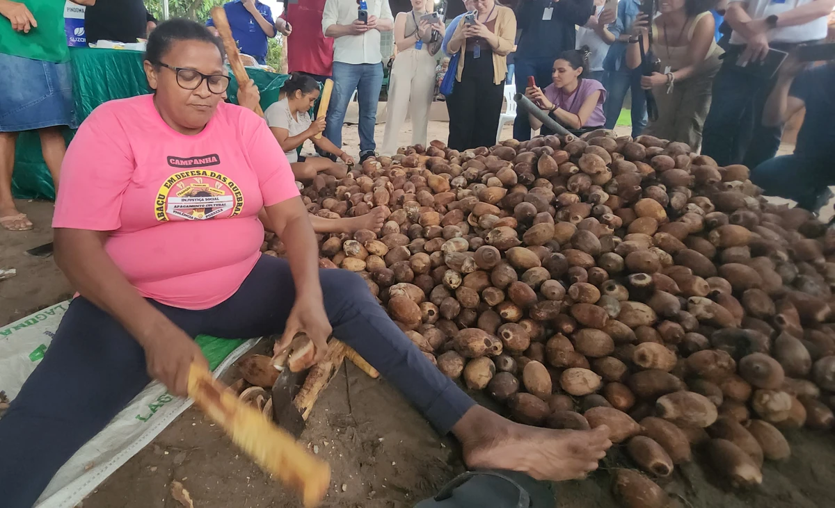 Zuleide Sousa é quebradeira de coco desde os 13 anos