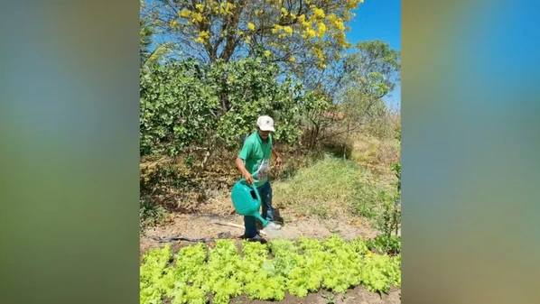 A Fundação Espírito-Santense de Tecnologia (Fest) foi uma das oito instituições escolhidas para receber parte dos R$ 18 milhões destinados ao Desafio IA Natureza & Clima