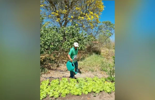 Projeto desenvolvido no ES é selecionado pelo Google e ICS