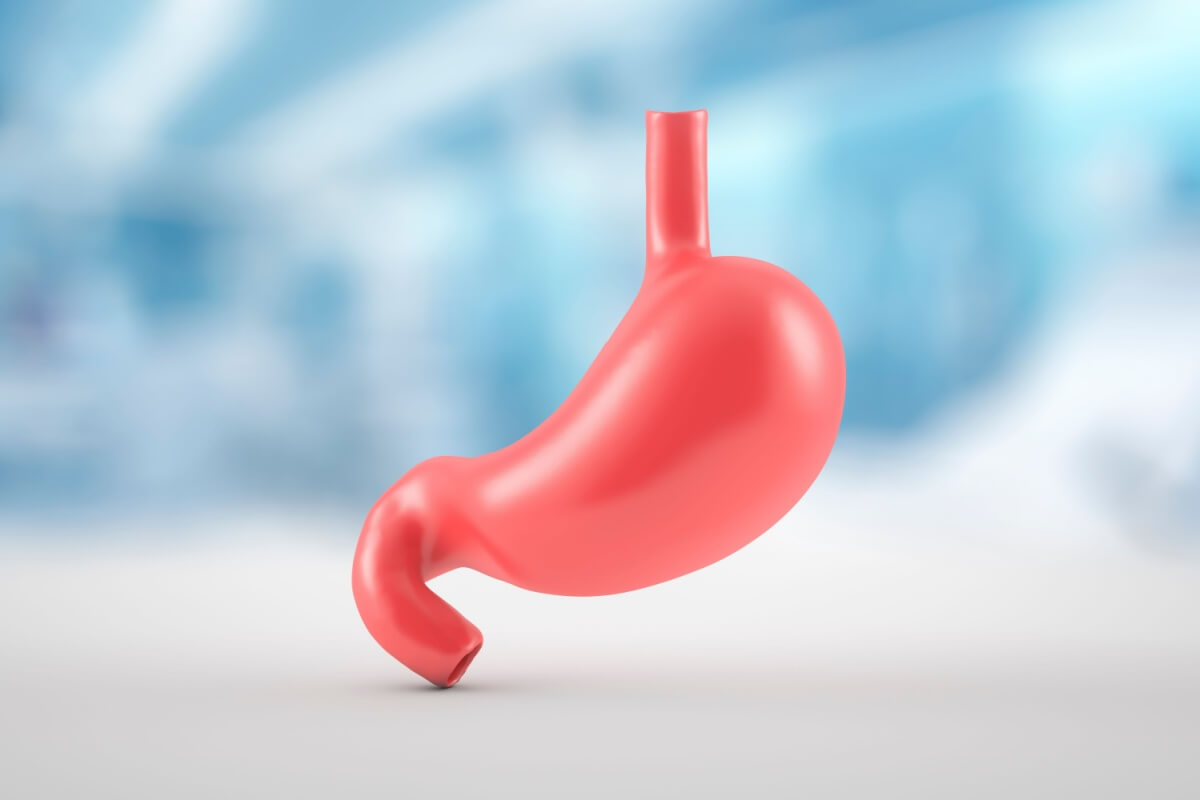 O consumo de frutas e vegetais tem efeito protetor contra o câncer de estômago (Imagem: Antonio Marca | Shutterstock) 