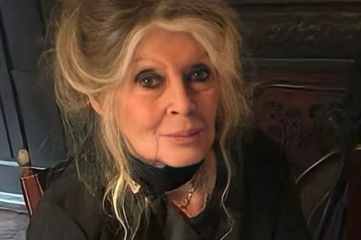 Brigitte Bardot foi internada em estado grave em um hospital na cidade de Toulon, no sul da França