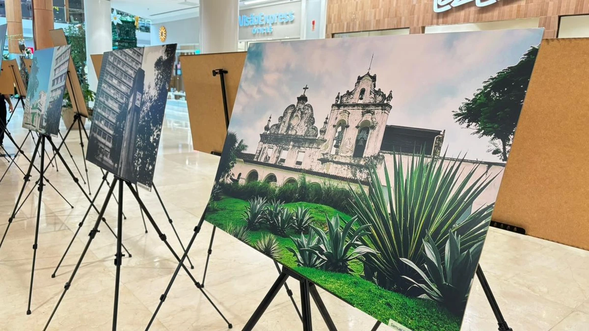 Fotógrafos com síndrome de Down fazem exposição gratuita sobre Vitória