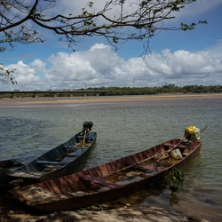 O processo de degradação do Rio Doce existe há muito mais de dez anos. O IBGE, em um relatório de 2013, definia o Rio Doce como um dos rios mais poluídos no Brasil