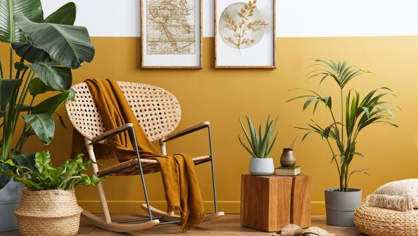 O uso de plantas adequadas à luminosidade do ambiente deixa a sala mais equilibrada e natural (Imagem: FOLLOW THE FLOW | Shutterstock)