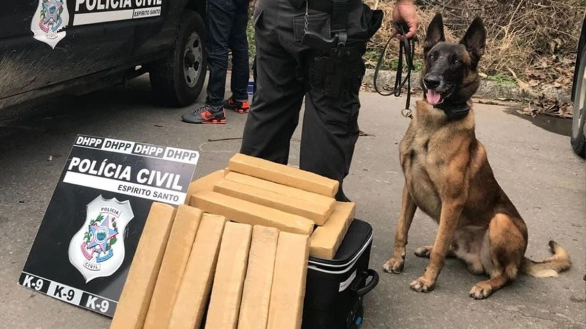 K9 Zack morreu na noite de terça-feira (21) vítima de um câncer nos pulmões