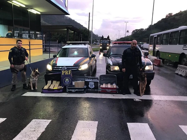 Zack atuou como cão farejador durante 14 anos  por Divulgação | Polícia Civil