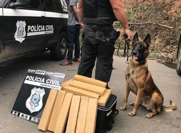 Zack atuou como cão farejador durante 14 anos  por Divulgação | Polícia Civil