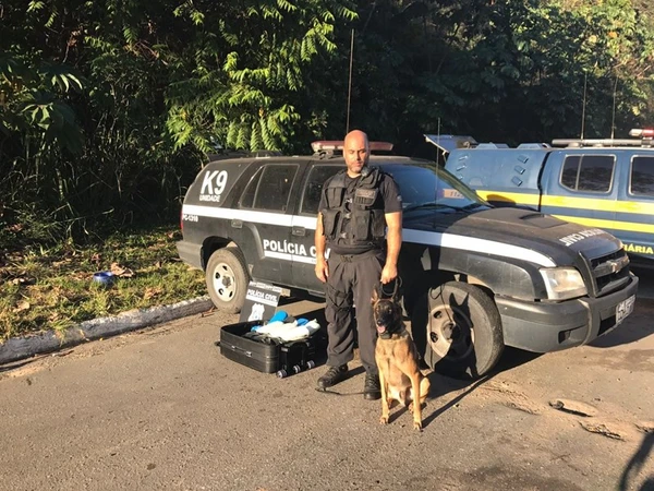 Zack atuou como cão farejador durante 14 anos  por Divulgação | Polícia Civil