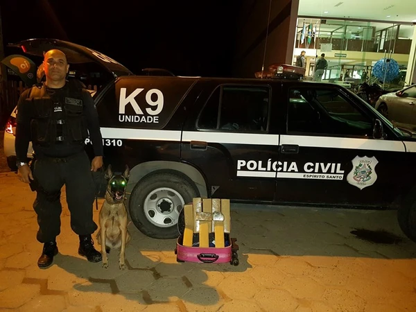 Zack atuou como cão farejador durante 14 anos  por Divulgação | Polícia Civil