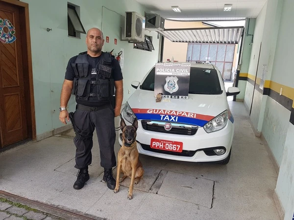 Zack atuou como cão farejador durante 14 anos  por Divulgação | Polícia Civil