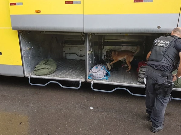 Zack atuou como cão farejador durante 14 anos  por Divulgação | Polícia Civil