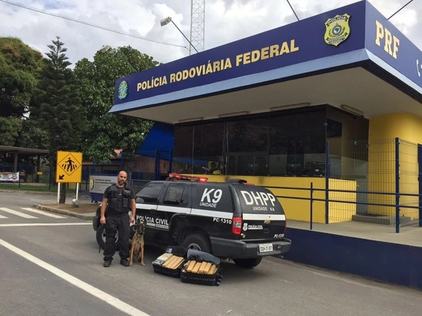 Zack atuou como cão farejador durante 14 anos  por Divulgação | Polícia Civil