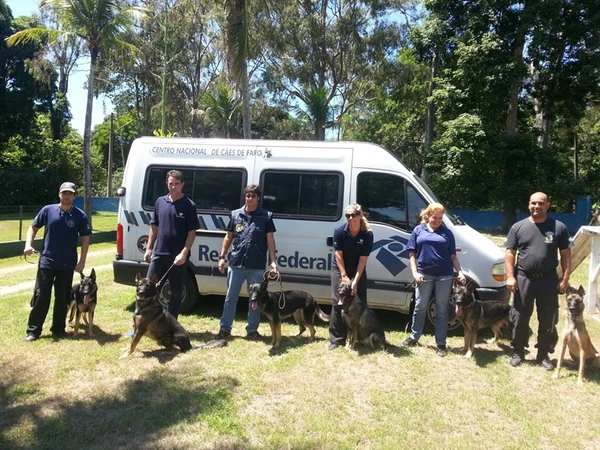 Zack atuou como cão farejador durante 14 anos  por Divulgação | Polícia Civil