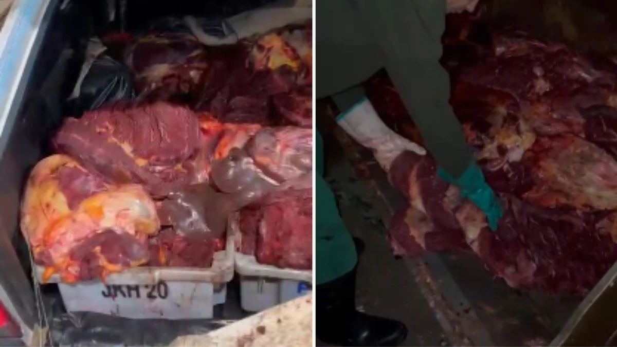 Carnes transportadas fora das regras da Vigilância Sanitária de Aracruz para a Grande Vitória