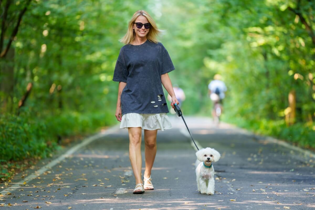 Plantas tóxicas para pets exigem atenção dos tutores durante os passeios (Imagem: Paparacy | Shutterstock)