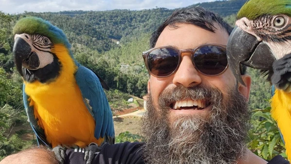 Guilherme Figueira treina o jovem casal de aves todos os dias para os passeios: sob o comandado do tutor, elas voltam e pousam em sua mão