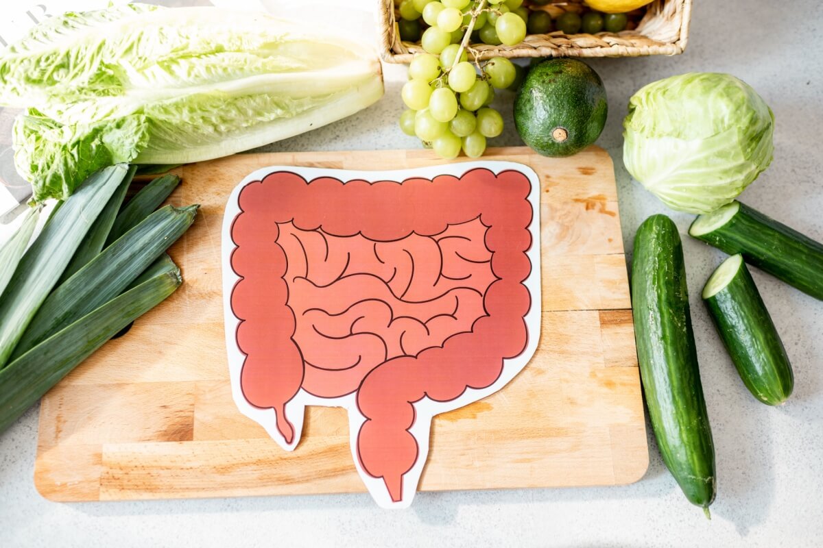 Alimentação e hábitos do dia a dia podem impactar a saúde do intestino (Imagem: RossHelen | Shutterstock)